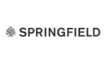 Code promo - Springfield